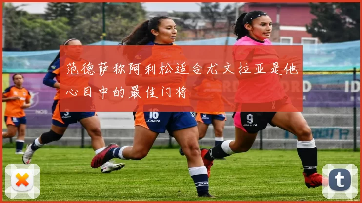范德萨称阿利松适合尤文拉亚是他心目中的最佳门将