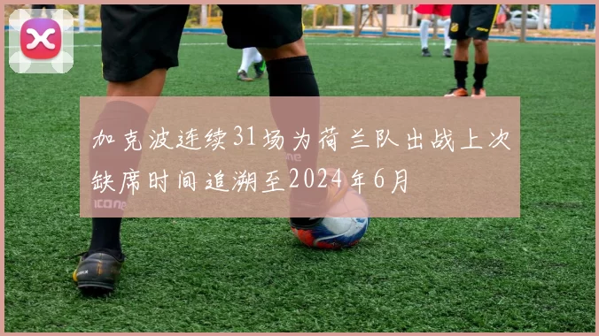 加克波连续31场为荷兰队出战上次缺席时间追溯至2024年6月
