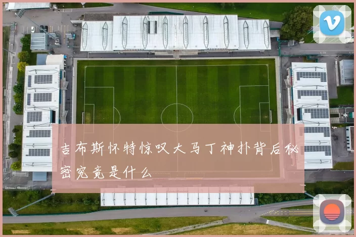 吉布斯怀特惊叹大马丁神扑背后秘密究竟是什么