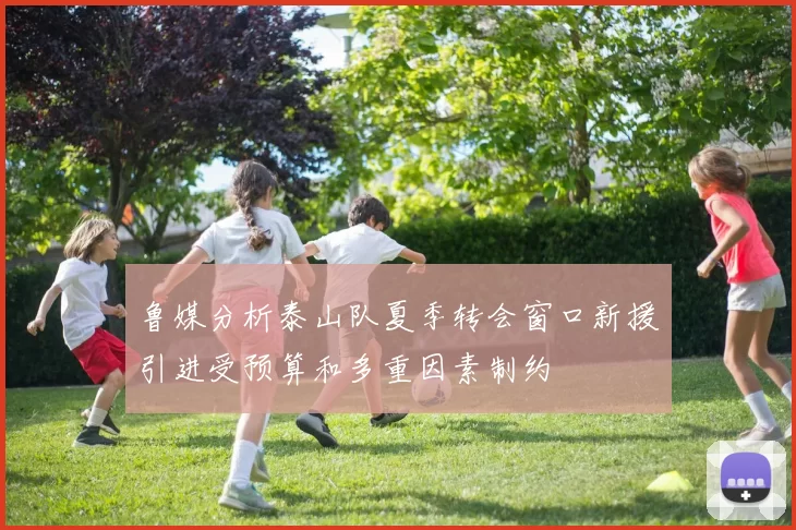 鲁媒分析泰山队夏季转会窗口新援引进受预算和多重因素制约